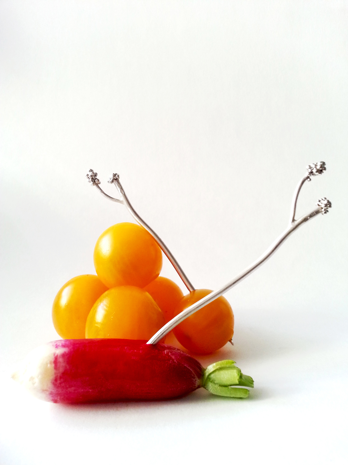 PIC-EPI-pic-aperitif-argent-2016-Patricia-Lemaire